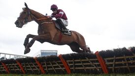 Samcro ‘very, very, very doubtful’ to make Cheltenham Festival