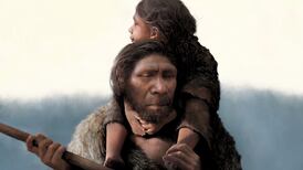 Early human species lived across more of the world than was thought