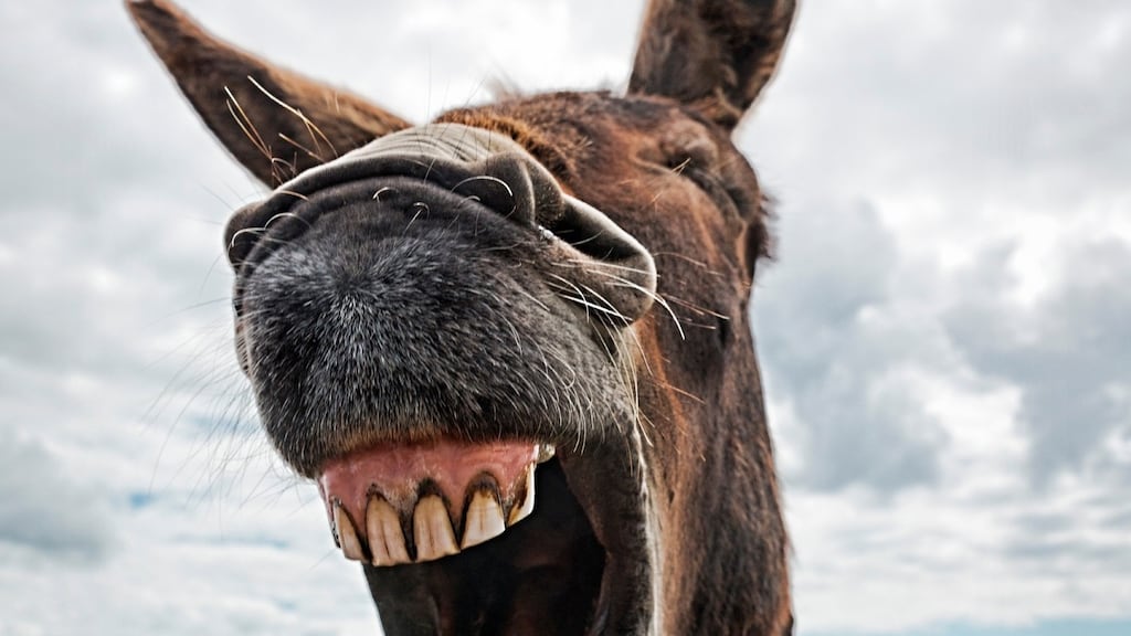 It’s the way you tell them: Positive psychological and physiological responses to laughter have been shown in a variety of settings