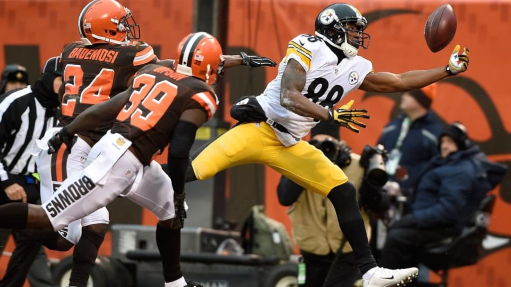 Darrius Heyward-Bey, #88 of the Pittsburgh Steelers can’t make a catch during the third quarter at FirstEnergy Stadium on January 3rd, 2016 in Cleveland, Ohio. Photograph: Jason Miller/Getty Images