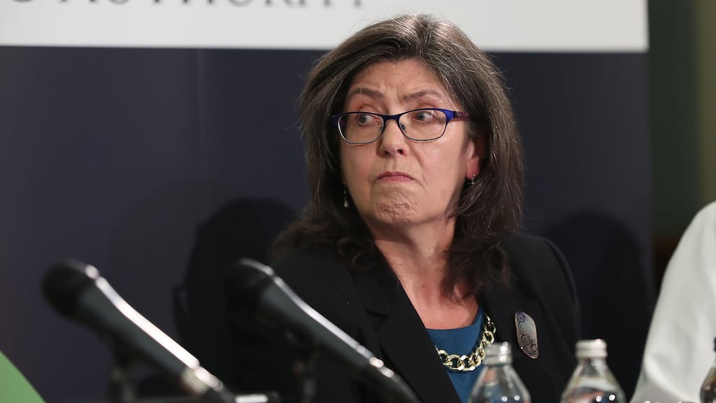 Josephine Feehily: ‘The entire report is based on the principles of social solidarity’. Photograph: Nick Bradshaw