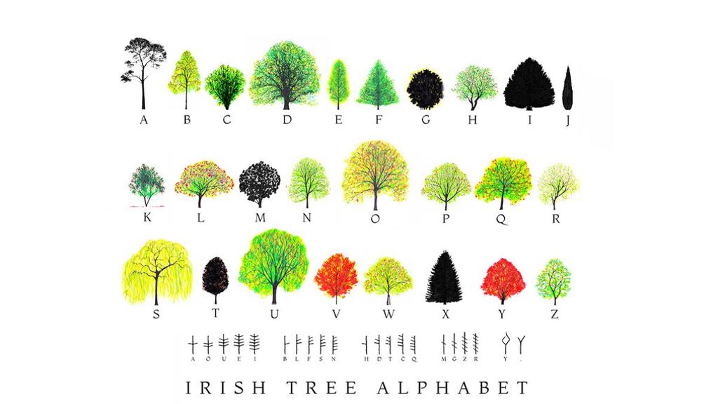 Katie Holten’s Irish Tree Alphabet