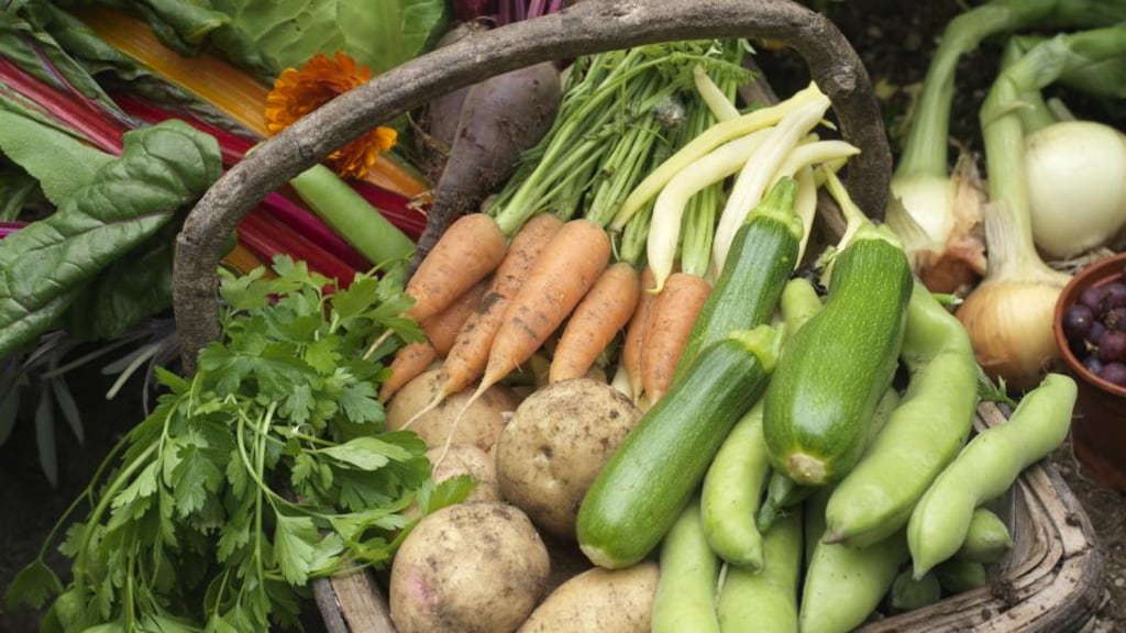 Tasty bounty: an array of homegrown fruit,vegetables and edible flowers grown in an Irish kitchen garden. Photographs: Richard Johnston