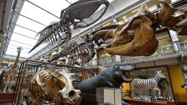 Something for the weekend: August 28th-30th