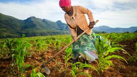 Trump’s tariffs will damage the world