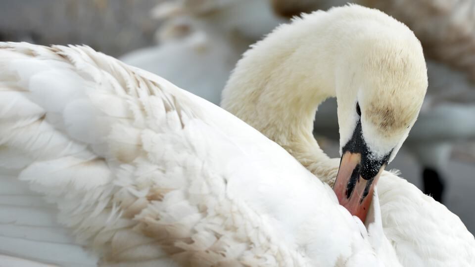 Photograph: David Sleator