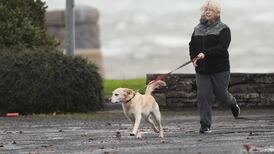 Storm Ophelia aftermath: Send us your photos and eyewitness accounts