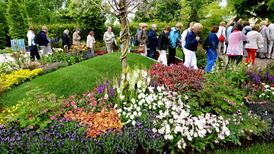 Bloom festival gardens to ‘raise the bar’ on previous years