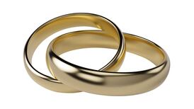 How can I bring  my non-Irish partner to live in Ireland?