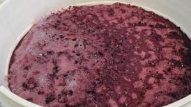 Wine secrets: what’s really in your bottle?