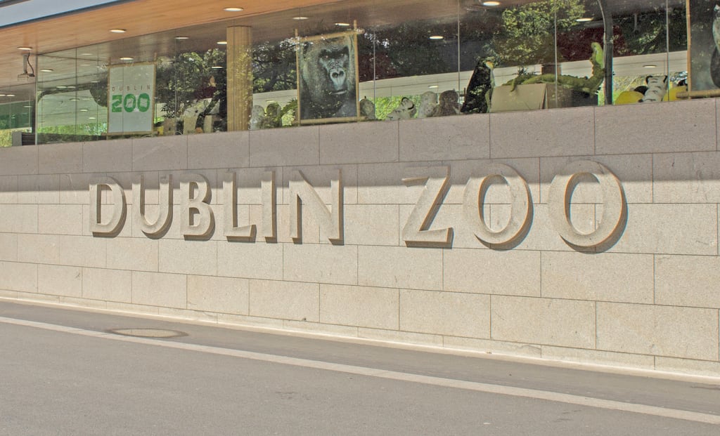 The incident happened in the car park of Dublin Zoo in August 2023