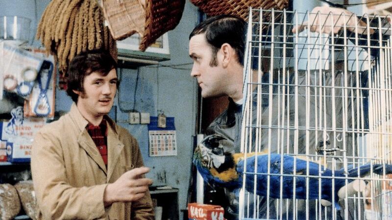 It’s not dead, it’s pining for the fjords! … John Cleese returns his Norwegian Blue parrot. Photograph: BBC