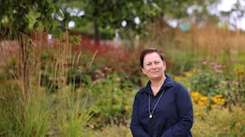 Attention by Anne Enright: Critical alertness fuelled by an ever-expanding curiosity