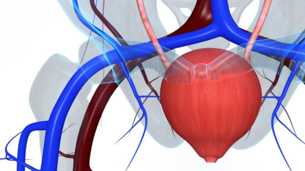 OAB is a common problem that can affect men, women and children of any age, although sufferers are predominately women. There are many treatments available that will either cure or significantly improve the problem for most people.