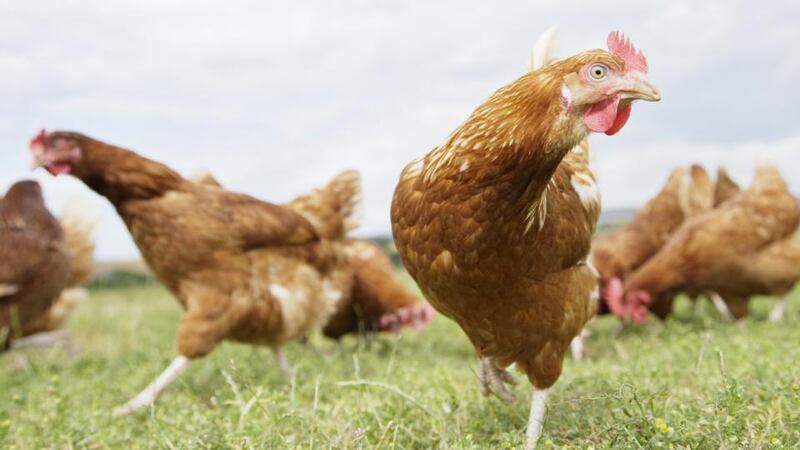 Evidence that antibiotic resistant infection at issue in Savita case is on the rise