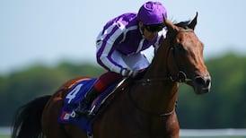 Aidan O’Brien unsure how recent injury setback will impact on Little Big Bear’s July Cup attempt