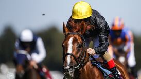 Stradivarius to strike the right note in Goodwood Cup