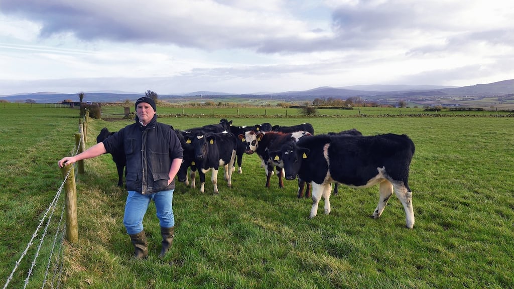 “Most exposed in a no-deal scenario would be sectors such as agri-food, with a high reliance on the UK market and facing new tariffs and other trade barriers.” Photograph: Trevor McBride