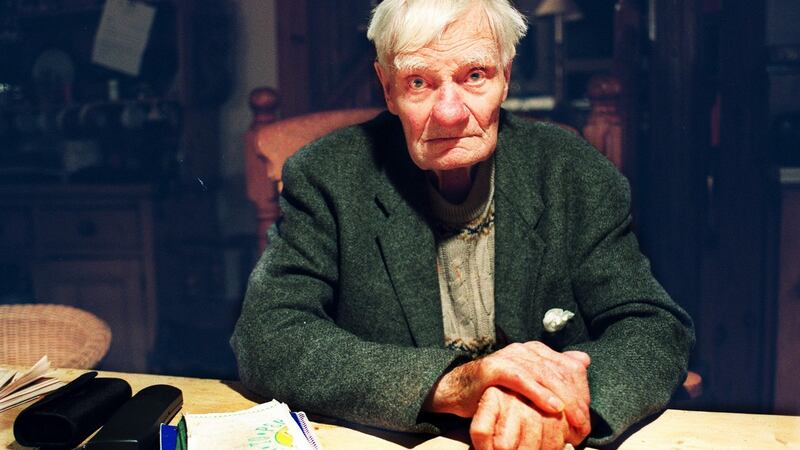 Francis Stuart: part of a small Irish group that gave support to the Nazis, believing this was the road to Irish freedom. Photograph: Eric Luke