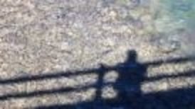 Suicide rate falls to lowest level in 20 years