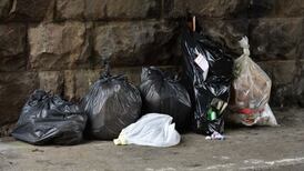 Sweeping Dublin clean expected to attract over 2,000