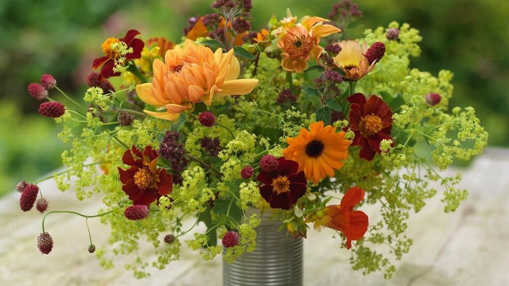 Flowers from the garden: calendula, tagetes, alchemilla, sanguisorba and dahlias. Photograph: Richard Johnston