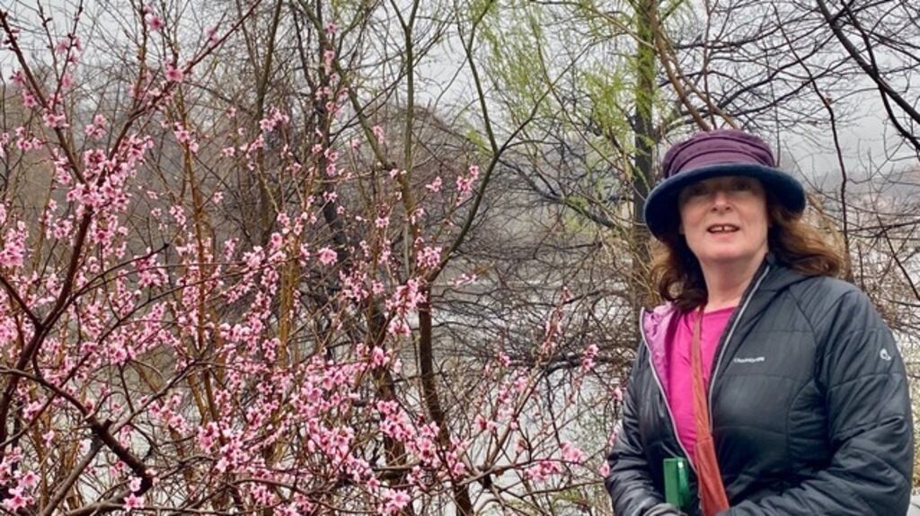 Margaret Kelleher in Central Park, New York, last month. Photograph: Mary Cregan