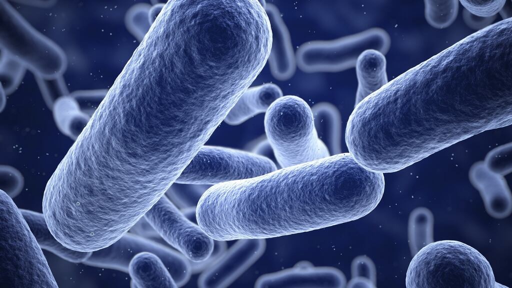 Boil water notice for over 50,000 families in Enda Kennys home county of Mayo after cryptosporidium parasite found in the Lough Mask Regional Water Supply Scheme. Photograph: Paul Mealey