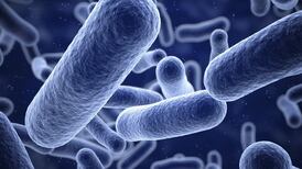 Half of Co Mayo water supply tainted by parasite