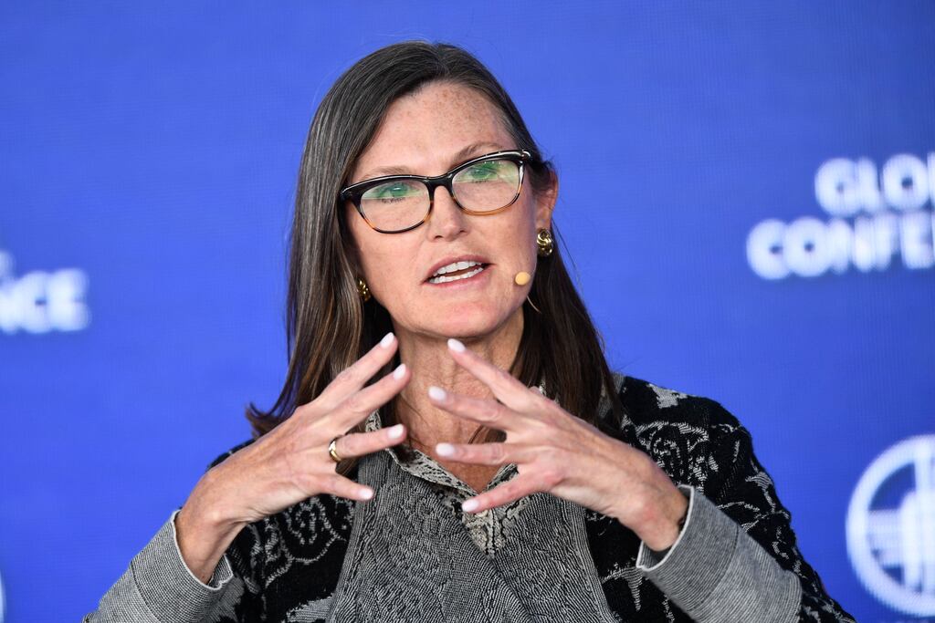 High-profile technology fund manager Cathie Wood took the Federal Reserve to task last week in an open letter warning that its rate-hiking policy risked an economic bust. Photograph: Patrick Fallong/AFP via Getty Images