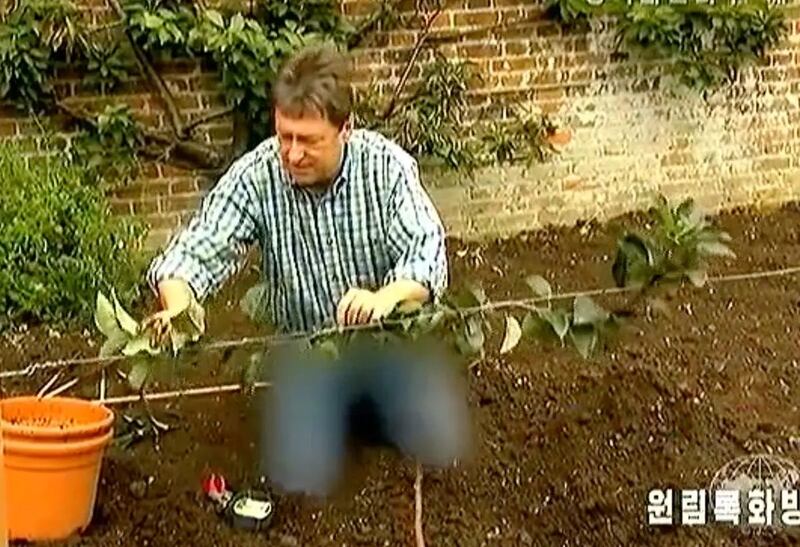 Alan Titchmarsh on North Korean television, with censored trousers