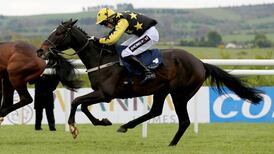 Willie Mullins’ Bacardys stuns Apple’s Jade at Navan