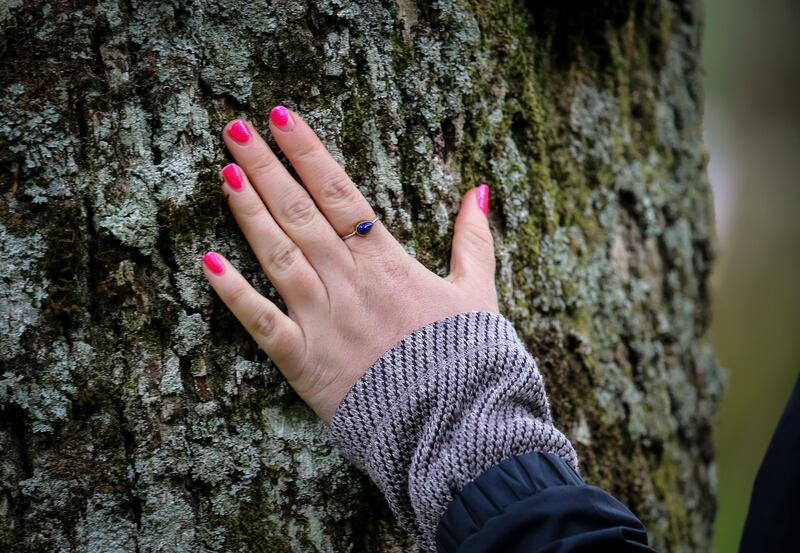 Health benefits: Trees and plants emit phytoncides, which have been found to reduce blood pressure and enhance the immune system. Photograph: Crispin Rodwell