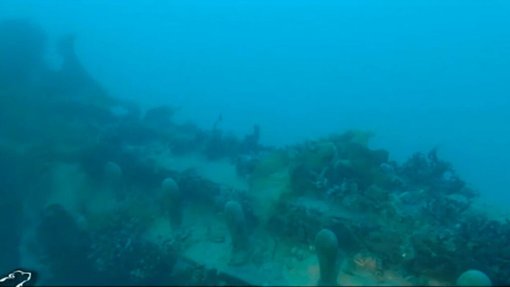 A still image captured from a video footage from the research vessel Martin Bergmann of the Arctic Research Foundation shows what they say is the wreckage of the of HMS Terror in the bottom of Terror Bay in Canada on September 3rd. Courtesy Arctic Research Foundation/Handout via Reuters