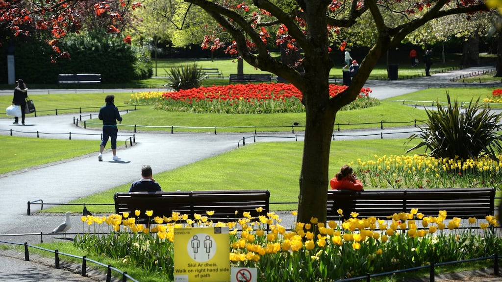 Has the birdsong always been this loud? When did the cherry blossom become some abundant? Photograph: Dara Mac Dónaill / The Irish Times