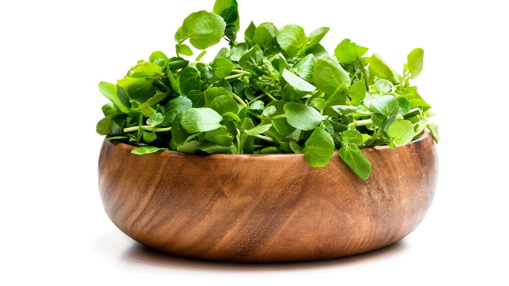 Watercress is an aquatic flowering plant. Photograph: iStock