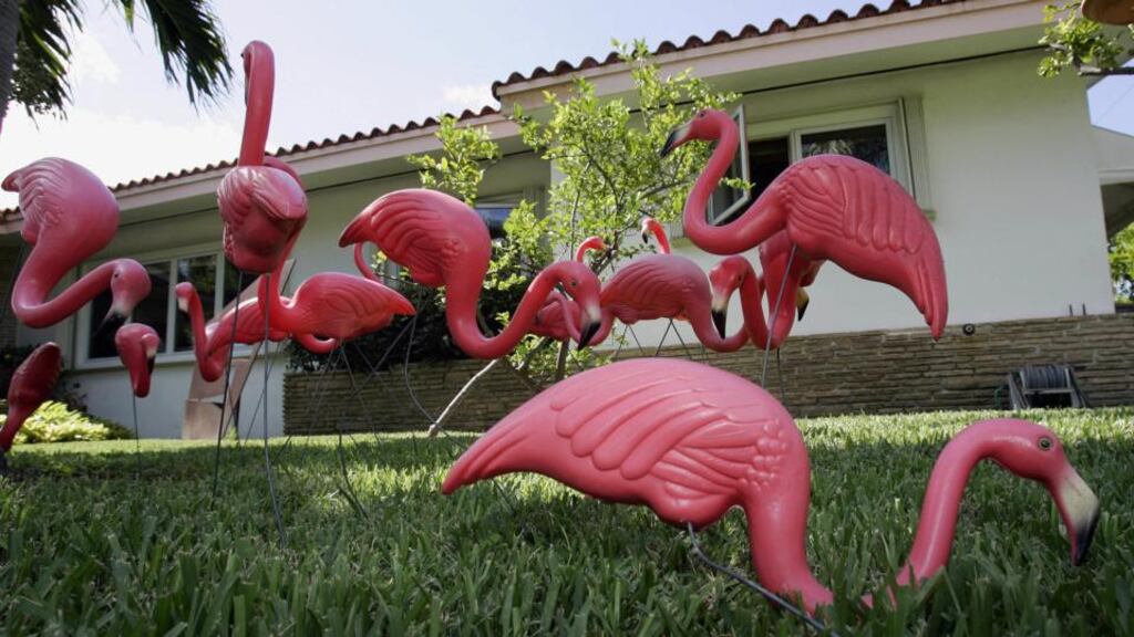 Less hideous than a garden gnome, more politically correct than a lawn jockey, the plastic flamingo has been flaunted in front gardens by the millions. File photograph: Robert Sullivan/AFP/Getty Images