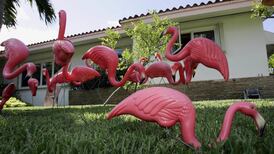 Don Featherstone, creator of the plastic flamingo, dies