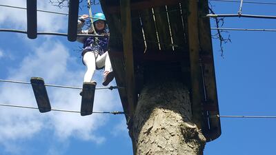 Branch out: Ellen (11) treetop walking in Castlecomer