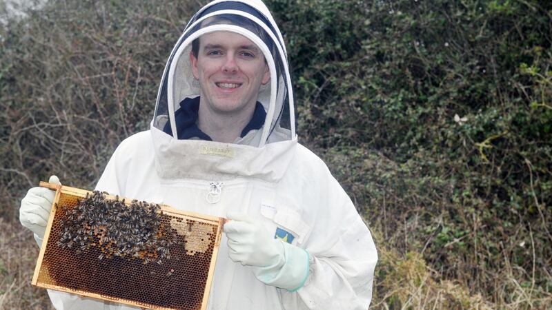 Beekeeper Barry O’Rourke: From March to September, things become busier and beekeepers need to visit their hives once per week.