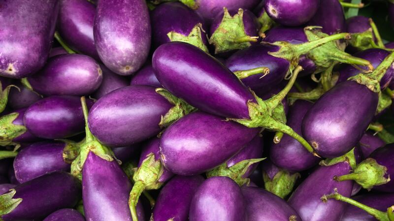Aubergines