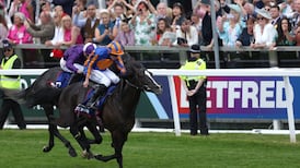 Prospect of victory for odds-on Auguste Rodin is boost for Irish Derby’s prestige