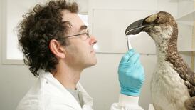 Museums show what species we have lost - ‘frozen zoos’ can help prevent further extinctions