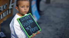 Let’s open our minds and mouths to GM food