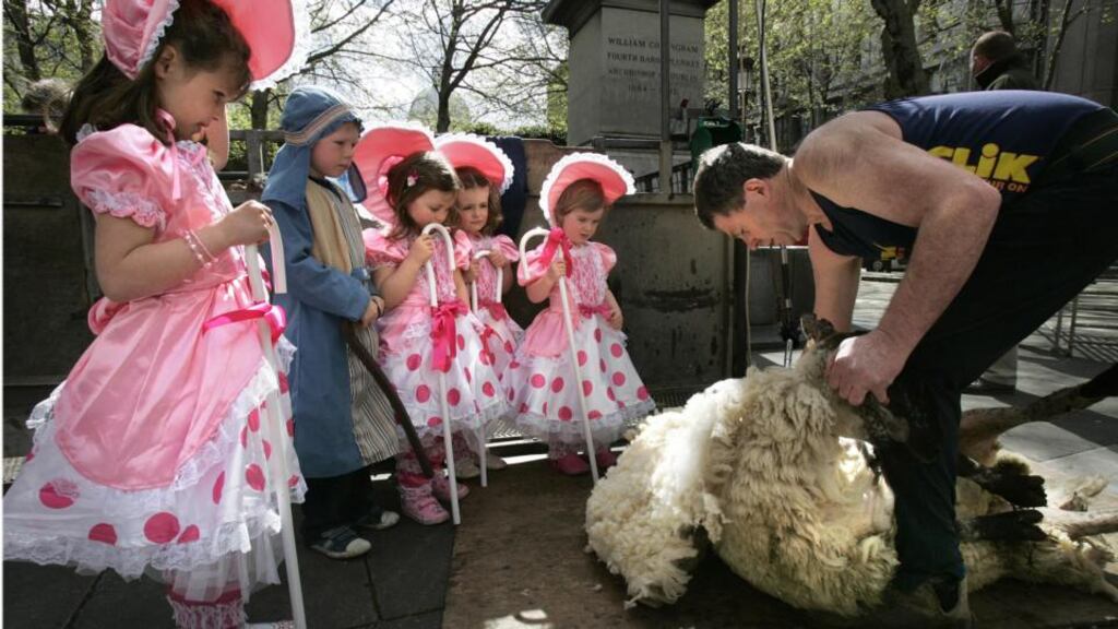 The All-Ireland and International Sheep Shearing and Wool Handling Championships take place in Cork this weekend. Photograph: Dara Mac Dónaill/The Irish Times