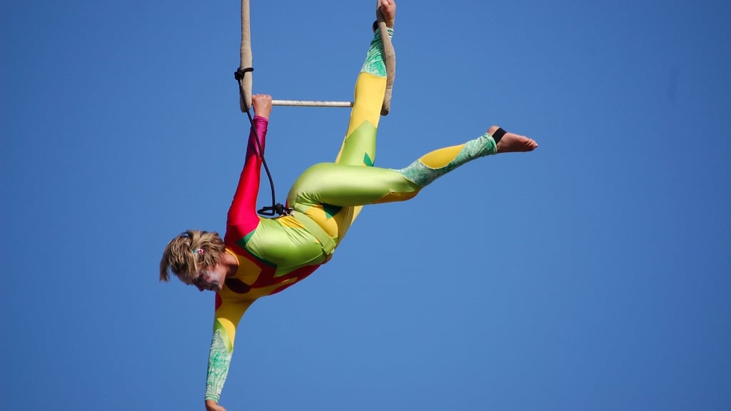 The finale of this year’s Spraoi International Street Arts Festival will take place this week, featuring live music, dancers and an aerialists