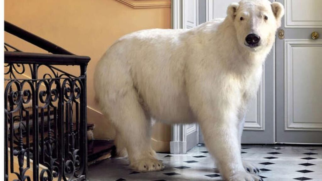 Online, on trend: Deyrolle Polar Bear print from 1stdibs.com