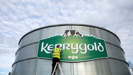 Kerrygold promoting ‘grass-fed dairy’ in new global campaign