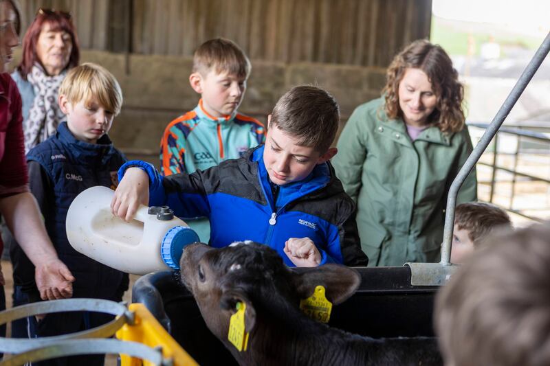 Michael Carey (10) feeding a calf at O'Sullivan's farm on the Family Farm Bus Tour in Colligan as part of the West Waterford Festival of Food