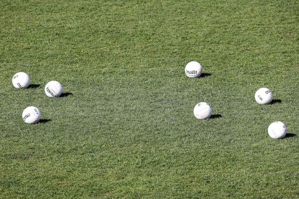 Peter Darby is regarded as one of the county’s greatest dual players. Photograph: Laszlo Geczo/Inpho